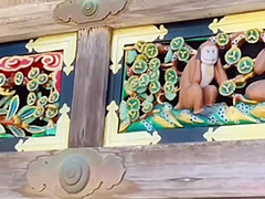 栃木の日光猿と温泉【なっち旅】 12 Min