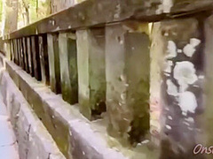 栃木の日光猿と温泉【なっち旅】 12 Min