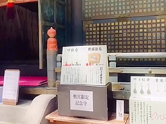 栃木の日光猿と温泉【なっち旅】 12 Min