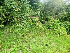 Serene Sex In Beautiful Forest Clearing