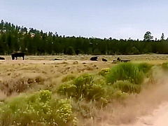 Cum Twice And Molly Pills In Epic Off Road Adventure Sex - Making H