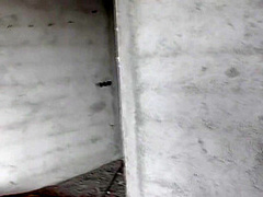 Bitch Sucked Me In An Abandoned Building By The Sea!