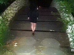 Rosalina Love And Stefan Steel In Fuck One Hot Brunette In The Park