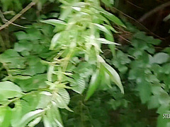 Rosalina Love And Stefan Steel In Fuck One Hot Brunette In The Park