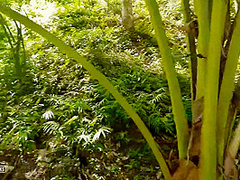 A Naked Girl Is Photographed In The Wild Jungle Of