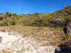 Couple Was Caught Having Sex On The Tourist Beach