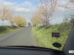 Blonde Picked Up And Fucked In The Bus!