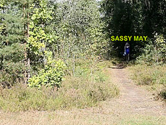 E096 3311