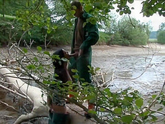 In Naturalien Bezahlt Mit Amateureaustria