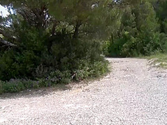 Roberta Farnese In Le Vere Depravazioni Full Movie)