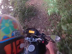 I Took My Sister-in-laws Pregnant Daughter For A Walk In The Woods!