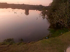 I Took My Sister-in-laws Pregnant Daughter For A Walk In The Woods!