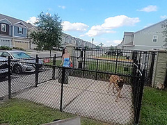 Stranger Gives Blowjob In Dog Park 4k 19yo Twitter Thegorillagripp