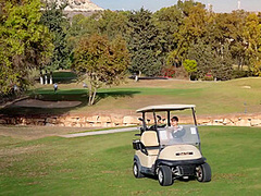 Lilla Katten - Golf Pro