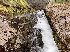 ¡¡alice In The Country Of Fornication!!