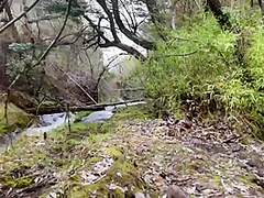 ¡¡alice In The Country Of Fornication!!