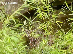 ¡¡alice In The Country Of Fornication!!