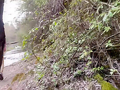 ¡¡alice In The Country Of Fornication!!