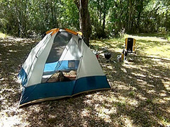 Gone Camping