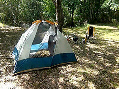 Gone Camping