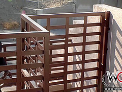 Let S Talk About Your Career