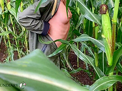 Public Raincoat Sex In A Cornfield - Projectsexdiary