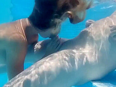 Lia-fox - Heftiger Creampie Im Pool Fuer Meine Gierige
