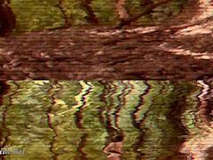 Naked scout in the forest. Jeny Smith and her erotic adventures