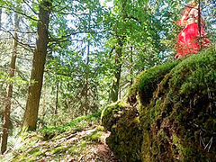 Forest Huntress Needs To Be Defeated And Fucked By Her Enemies