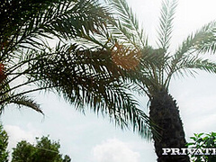 Chrystal Sinn - Yoga Instructor Likes It Outd