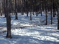 Compilation Golden Shower Of Hairy Pussy Outdoors In Winter. Amateur Fetish With Urine On White Snow. 10 Min