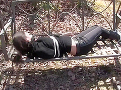 Jasmine Carried Captive