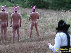 Sperm Pigs