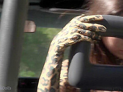 Wild Cat In The Wild - Watch4Fetish