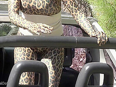 Wild Cat In The Wild - Watch4Fetish