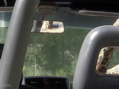 Wild Cat In The Wild - Watch4Fetish