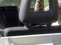 Wild Cat In The Wild - Watch4Fetish