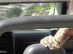 Wild Cat In The Wild - Watch4Fetish