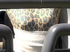 Wild Cat In The Wild - Watch4Fetish