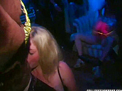 Cock sucking coed slut takes cumshot