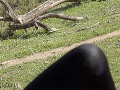 Flexible Catsuit Beauty In Nature - Watch4Fetish