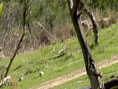 Flexible Catsuit Beauty In Nature - Watch4Fetish