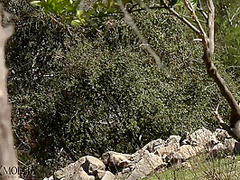 Flexible Catsuit Beauty In Nature - Watch4Fetish