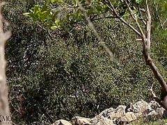 Flexible Catsuit Beauty In Nature - Watch4Fetish