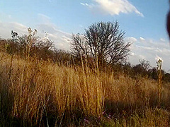 Aaa Roadside Assistence And Creampie !!!