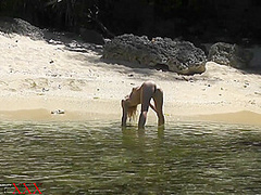 Private Moments On Summer Vacation - Watch4Fetish
