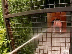 Ian Scott And David Perry In Clarissa Euro Anal Outdoor, Costumes, Stockings, Swallow Bitch Hardcore Double Penetration Short