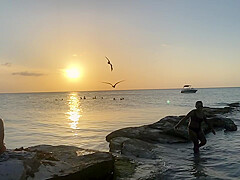 Bikini Watch at Isla Holbox