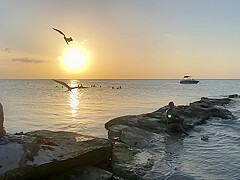 Bikini Watch at Isla Holbox