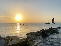 Bikini Watch at Isla Holbox